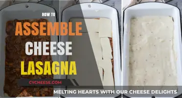 Mastering the Art of Assembling a Perfect Cheese Lasagna