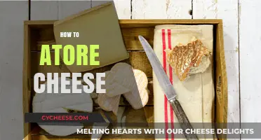 Mastering Cheese Storage: Tips for Freshness and Flavor Preservation