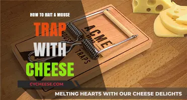 Effective Cheese Techniques for Baiting Mouse Traps Successfully