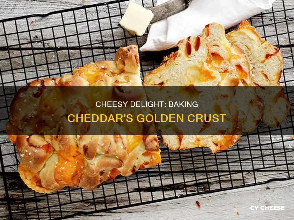 how to bake cheddar cheese