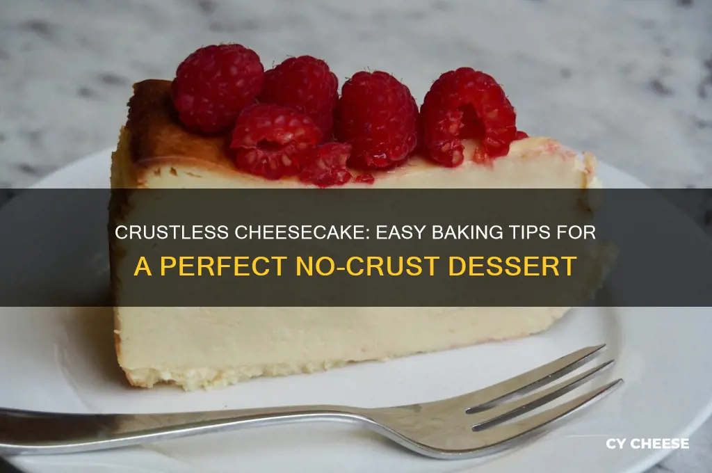 how to bake cheese cake with no crust