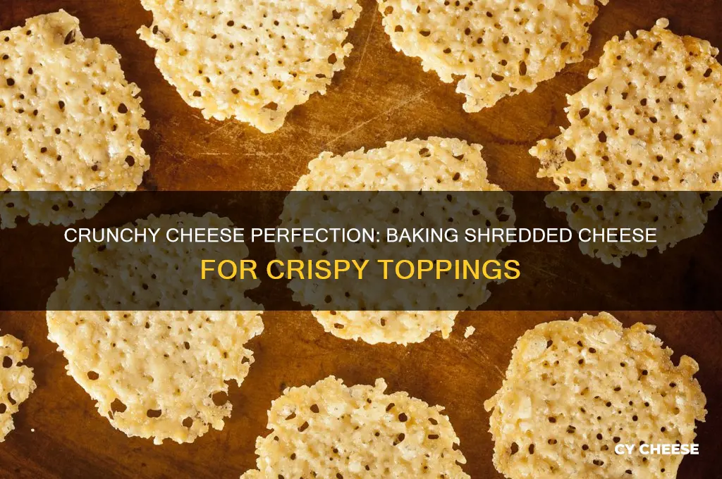 how to bake shredded cheese to be crunchy