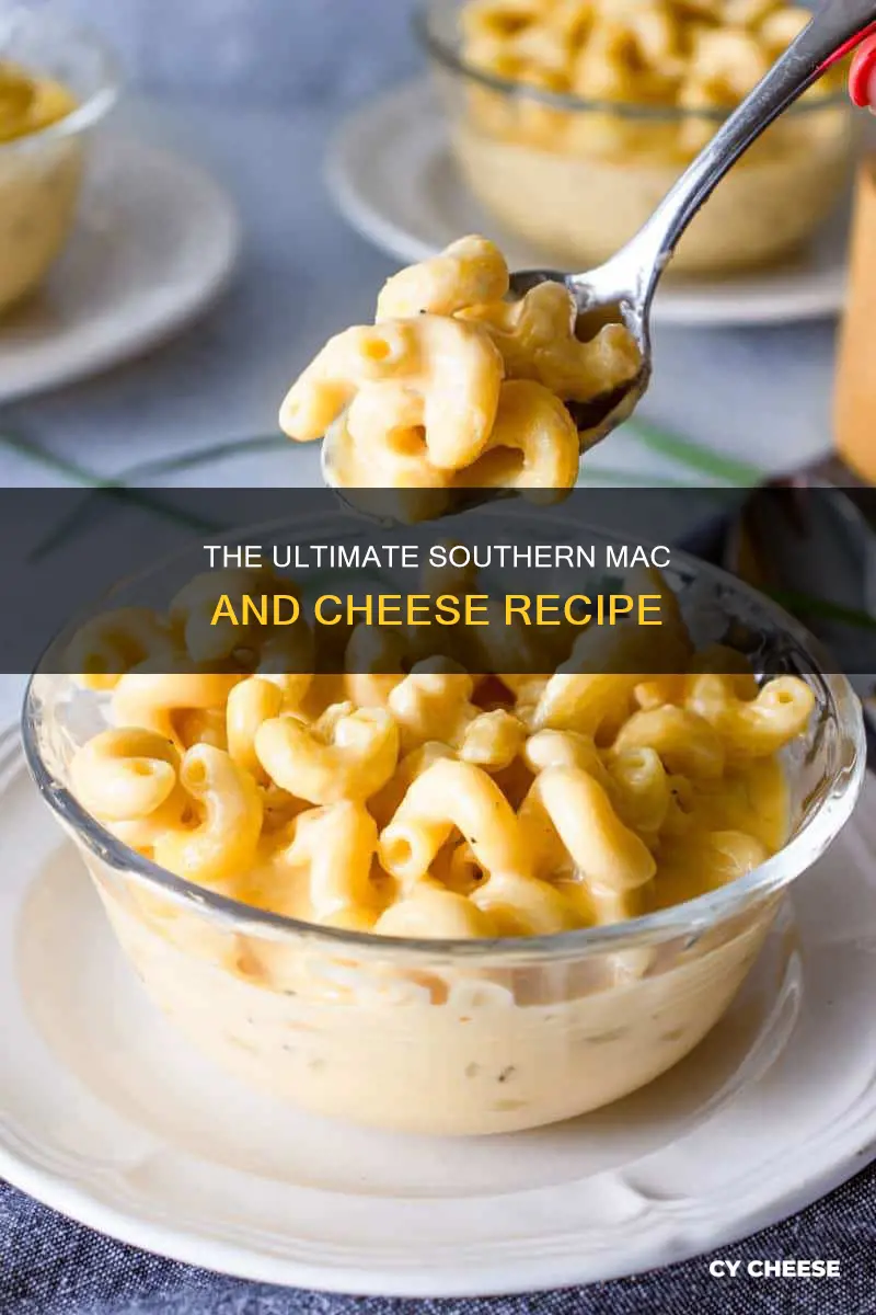 how to bake southern macaroni and cheese