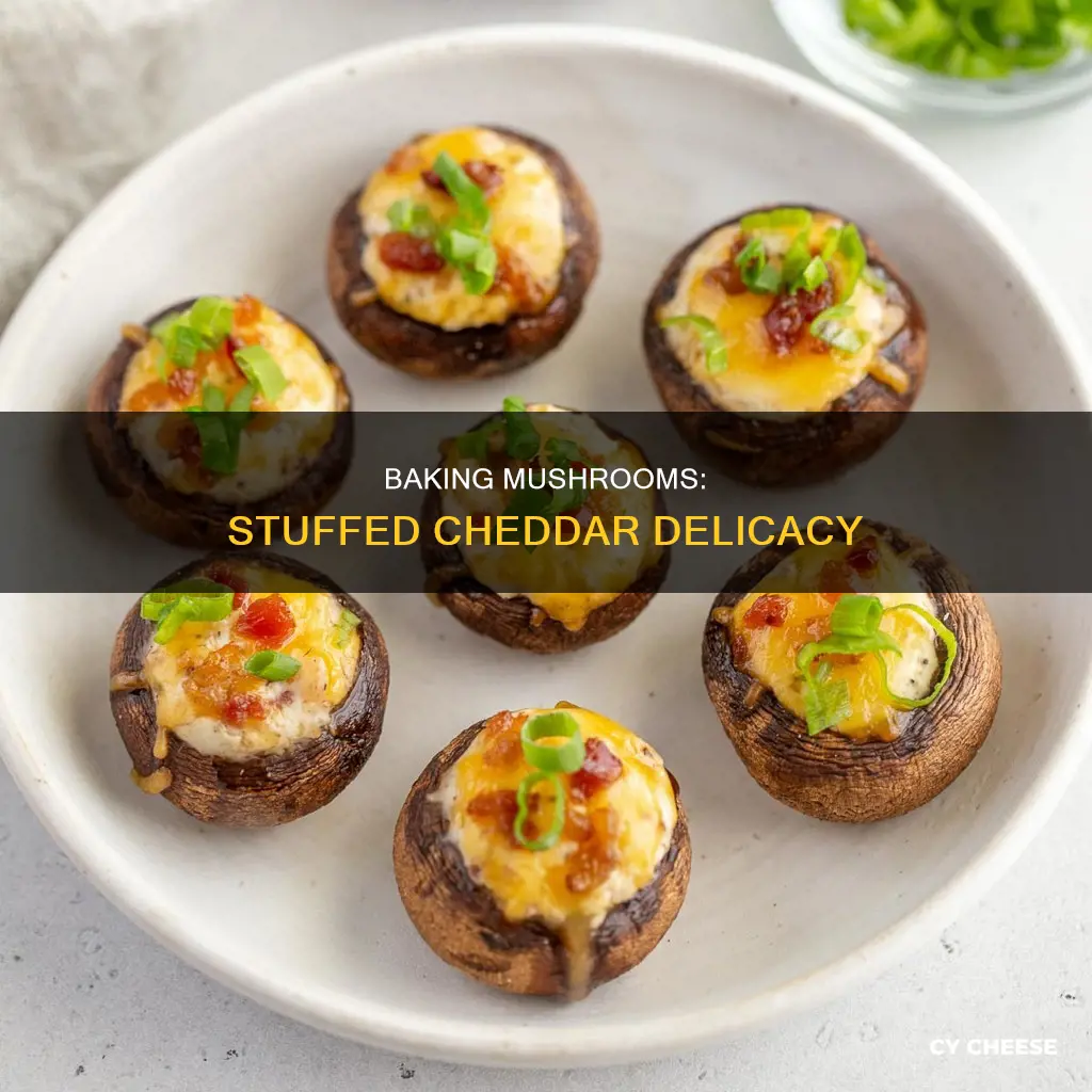 how to bake stuffed cheddar cheese mushrooms