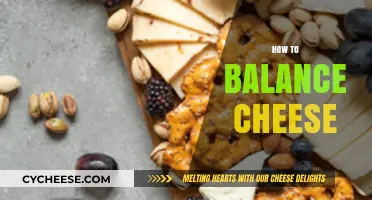 Mastering Cheese Balance: Tips for Perfect Flavor and Texture Harmony