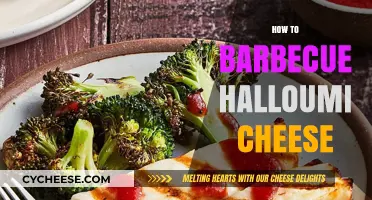 Mastering the Art of Grilling Perfectly Crispy Halloumi Cheese