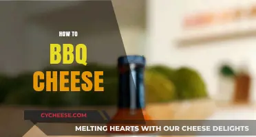 Mastering the Art of BBQ Cheese: Tips for Perfect Grilled Cheesy Delights