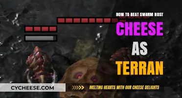 Countering Swarm Host Cheese: Effective Terran Strategies for Dominance