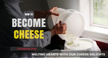 Mastering the Art of Cheese Making: A Step-by-Step Guide to Becoming Cheese