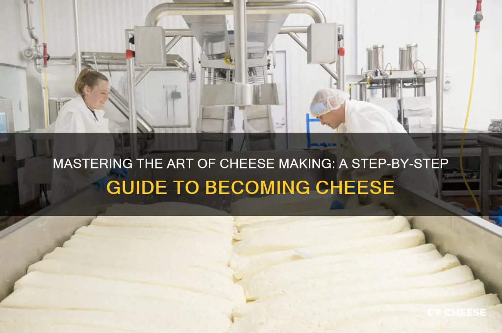 how to become cheese