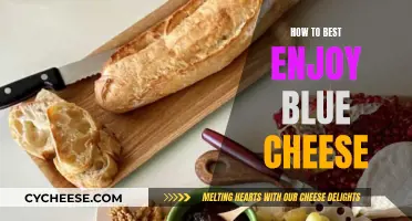 Blue Cheese Bliss: Enhancing Your Palate Experience