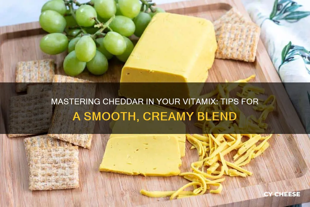 how to blend cheddar cheese in the vitamix