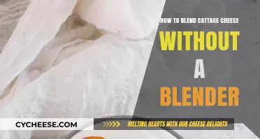 Easy Cottage Cheese Blending: Smooth Results Without a Blender Tips