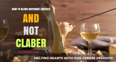 Mastering Cheese Blends: Tips to Avoid Clabbering in Your Recipes