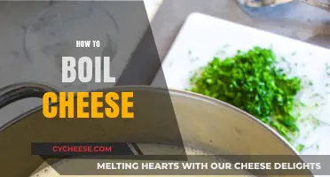 Mastering the Art of Boiling Cheese: Tips and Techniques