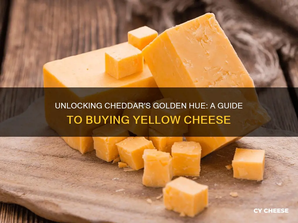 how to botain the yellow color of the cheddar cheese