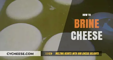 Mastering the Art of Brining Cheese: A Step-by-Step Guide