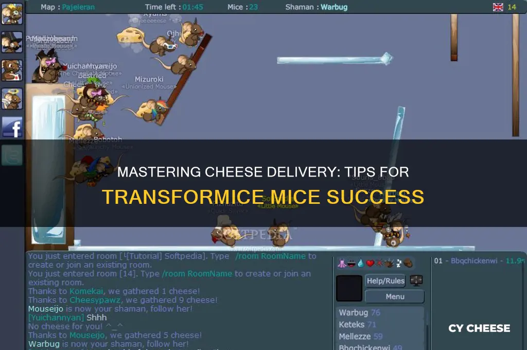 how to bring cheese to mice in transformice