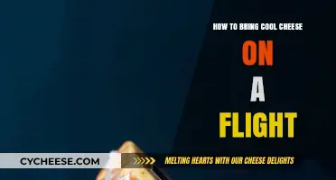 Flying with Cheese: Tips for Keeping Your Cool Dairy Fresh