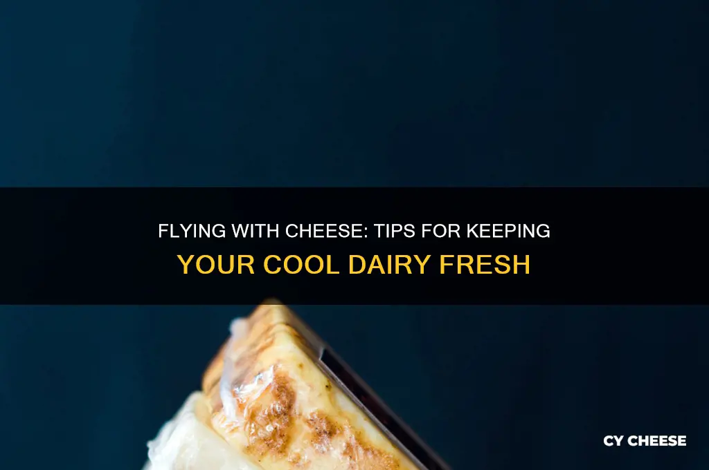 how to bring cool cheese on a flight