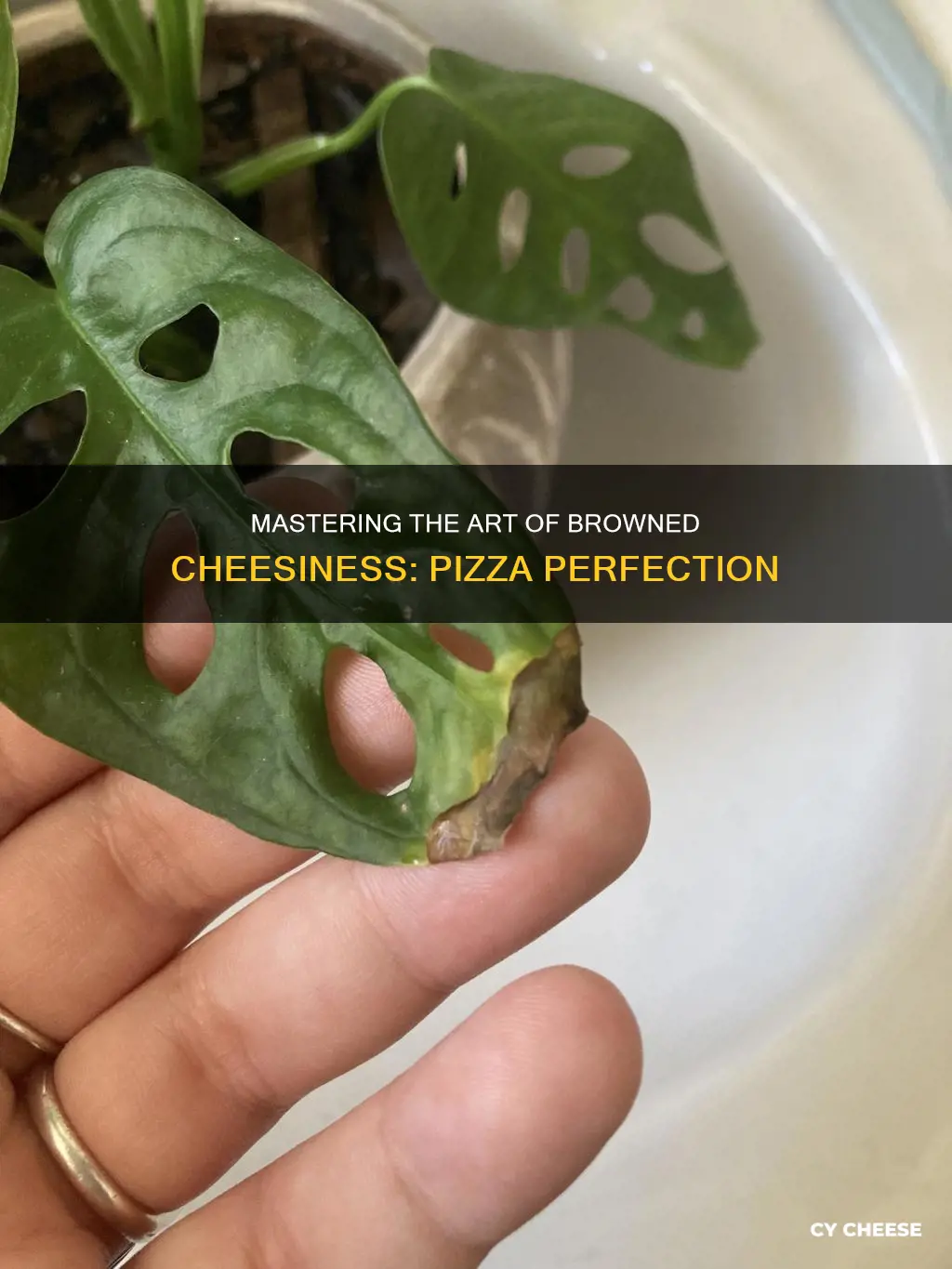 how to brown cheese on pizza