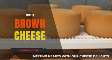 Mastering the Art of Browning Cheese: Tips for Perfect Golden Crust
