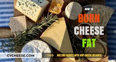 Effective Strategies to Burn Cheese Fat and Boost Your Metabolism