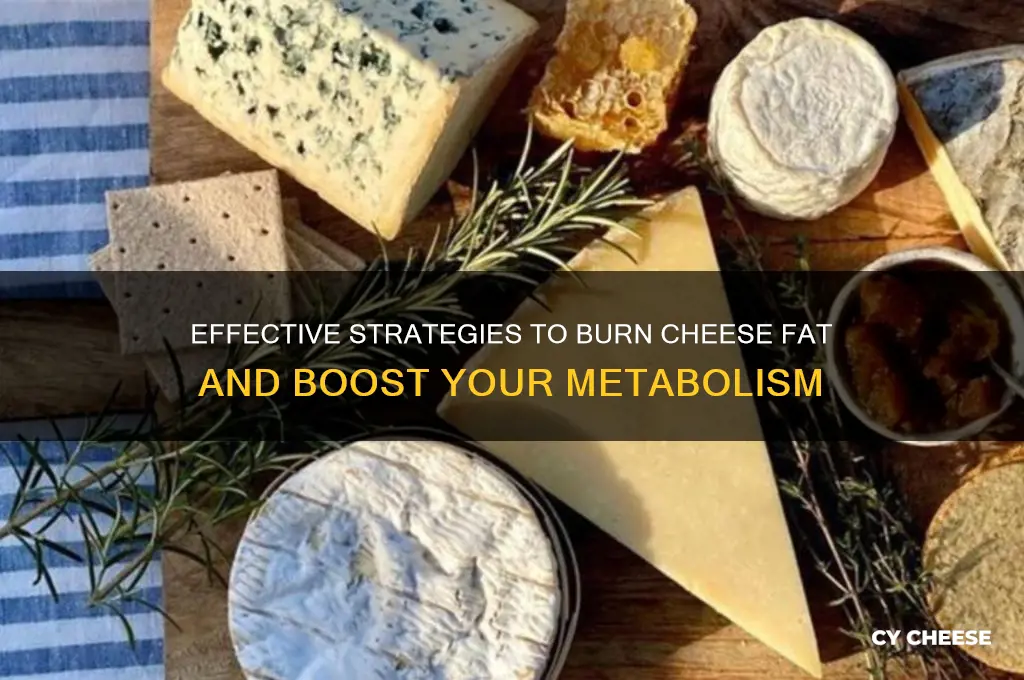 how to burn cheese fat