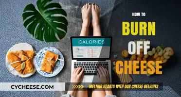 Effective Strategies to Burn Off Cheese Calories and Stay Fit
