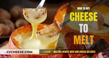 Melted Cheese Delights: Buying the Right Cheese
