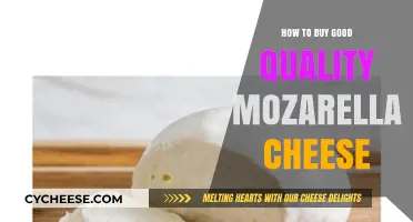Mozzarella Mastery: Buying the Best