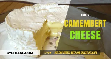 Mastering Camembert: A Step-by-Step Guide to Perfectly Crafting Creamy Cheese