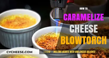 Mastering the Art of Caramelizing Cheese with a Blowtorch