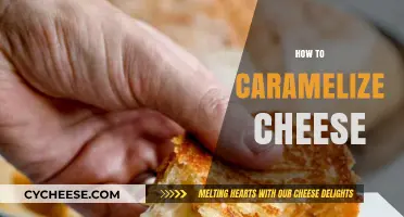 Mastering the Art of Caramelizing Cheese: Tips and Techniques