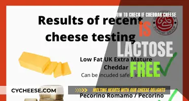 Unveiling Cheddar's Secret: A Guide to Lactose-Free Cheddar Cheese