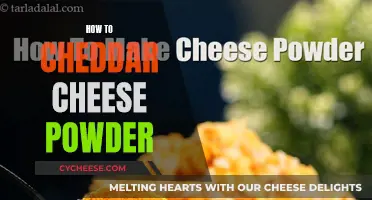 Mastering the Art of Cheddar Cheese Powder: A Guide to Perfectly Crafted Snacks