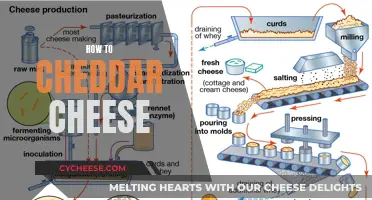 Master the Art of Cheddar: A Guide to Perfecting Your Cheesemaking Journey