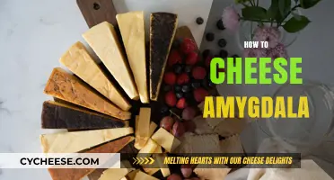 Mastering Emotional Control: Effective Strategies to Cheese Your Amygdala