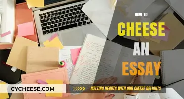 Mastering Essay Cheesing: Quick Tips for Crafting Effortless Papers