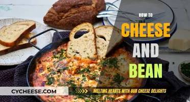 Mastering the Art of Cheesy Bean Delights: Simple Tips and Tricks