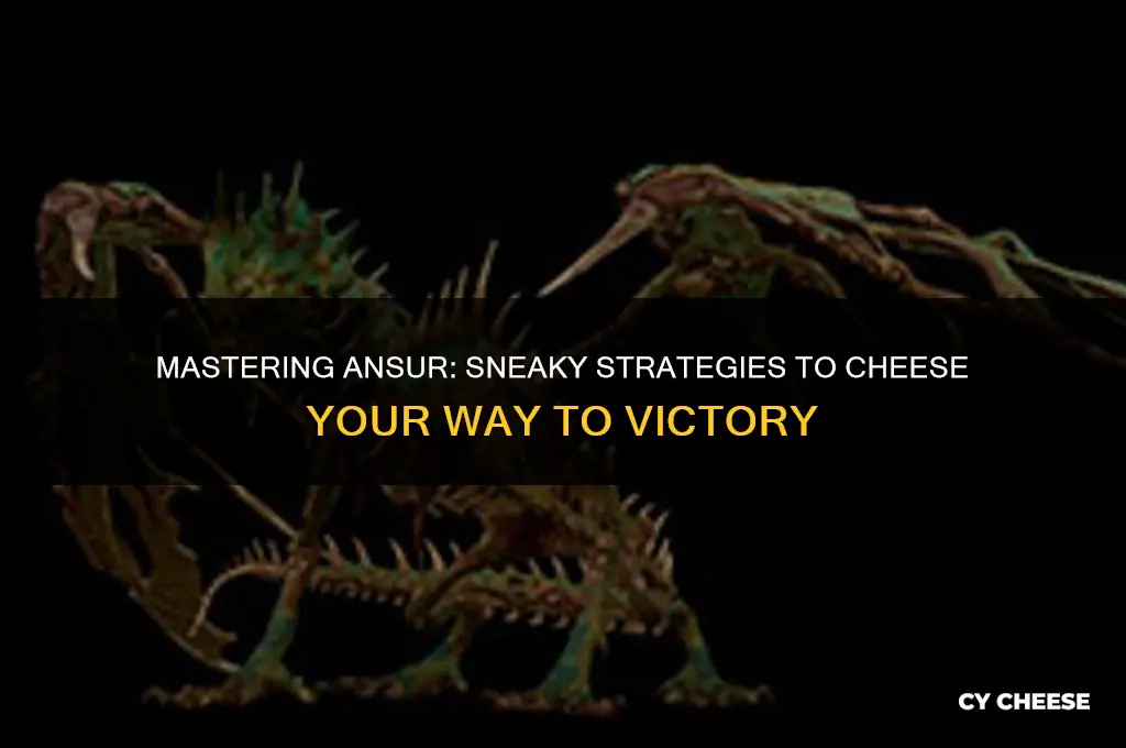 how to cheese ansur