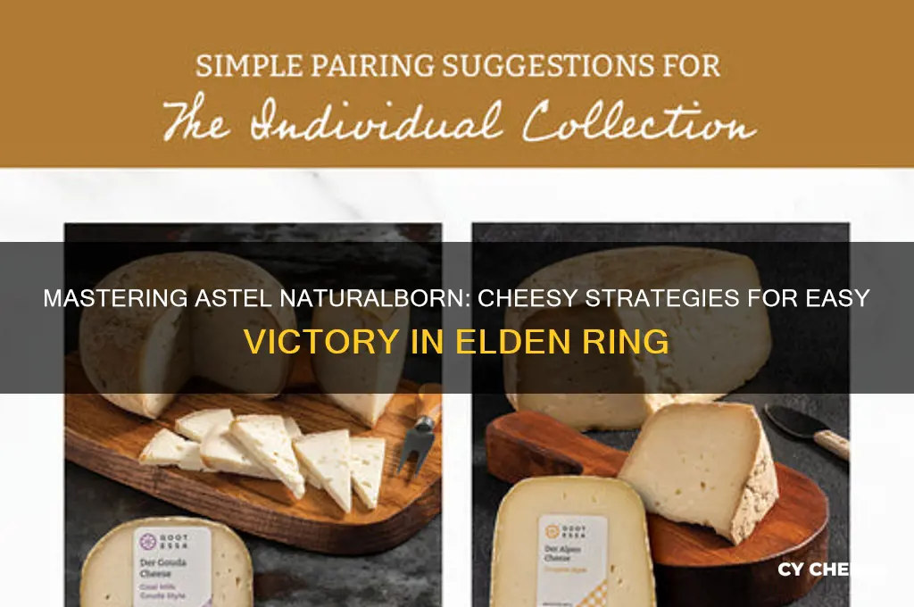 how to cheese astel naturalborn