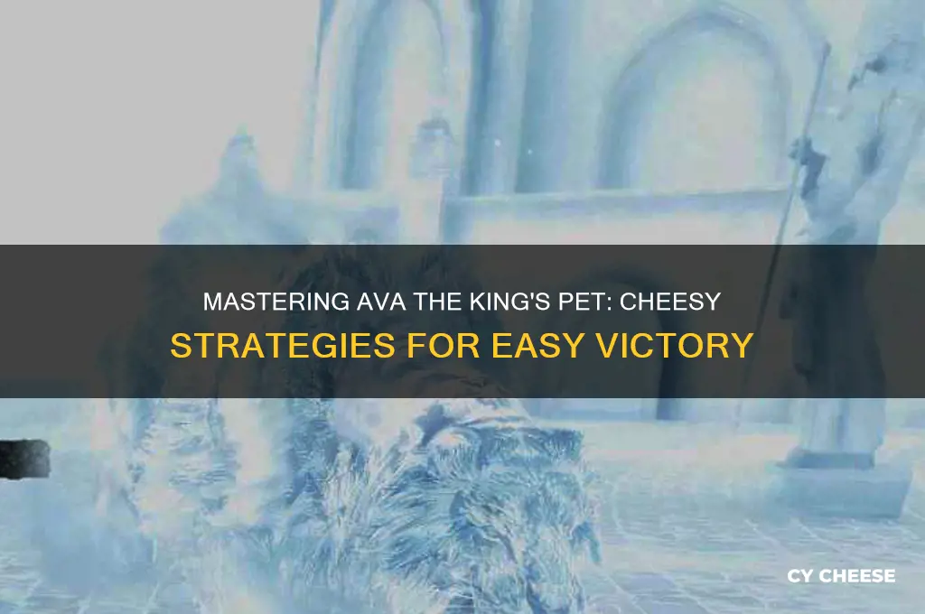 how to cheese ava the king