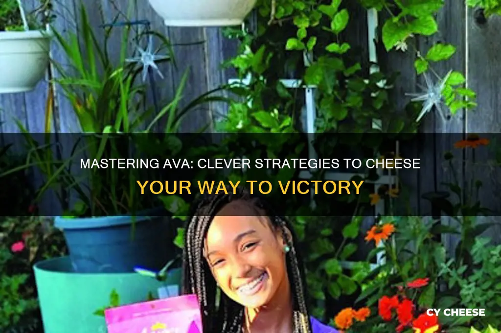 how to cheese ava