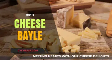 Mastering Bayle: Easy Cheesing Strategies for Quick Wins and Fun