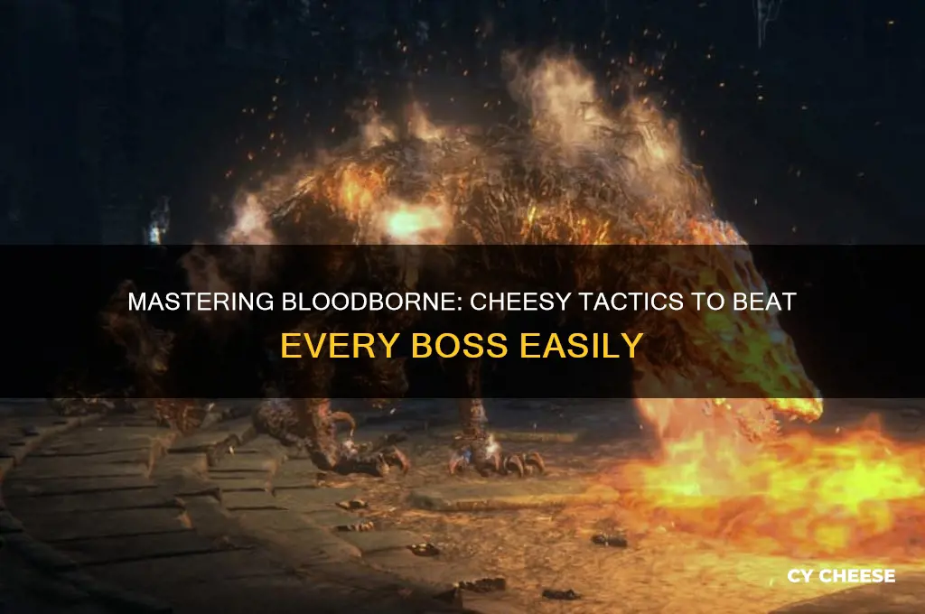 how to cheese bloodborne bosses