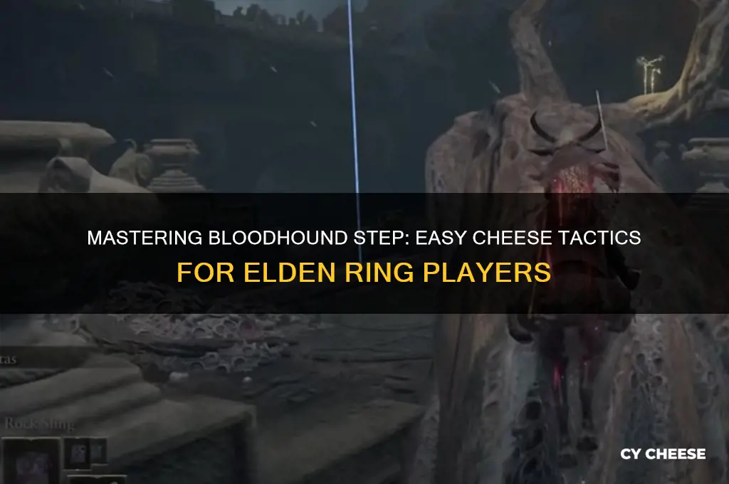 how to cheese bloodhound step