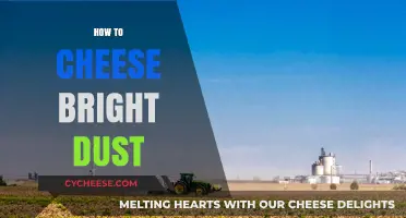 Mastering Bright Dust Farming: Easy Cheesy Strategies for Destiny 2 Players