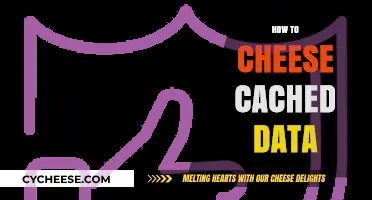 Mastering Cached Data: Sneaky Techniques to Optimize Performance