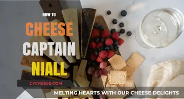 Mastering Captain Niall: Easy Cheese Strategies for Quick Victory